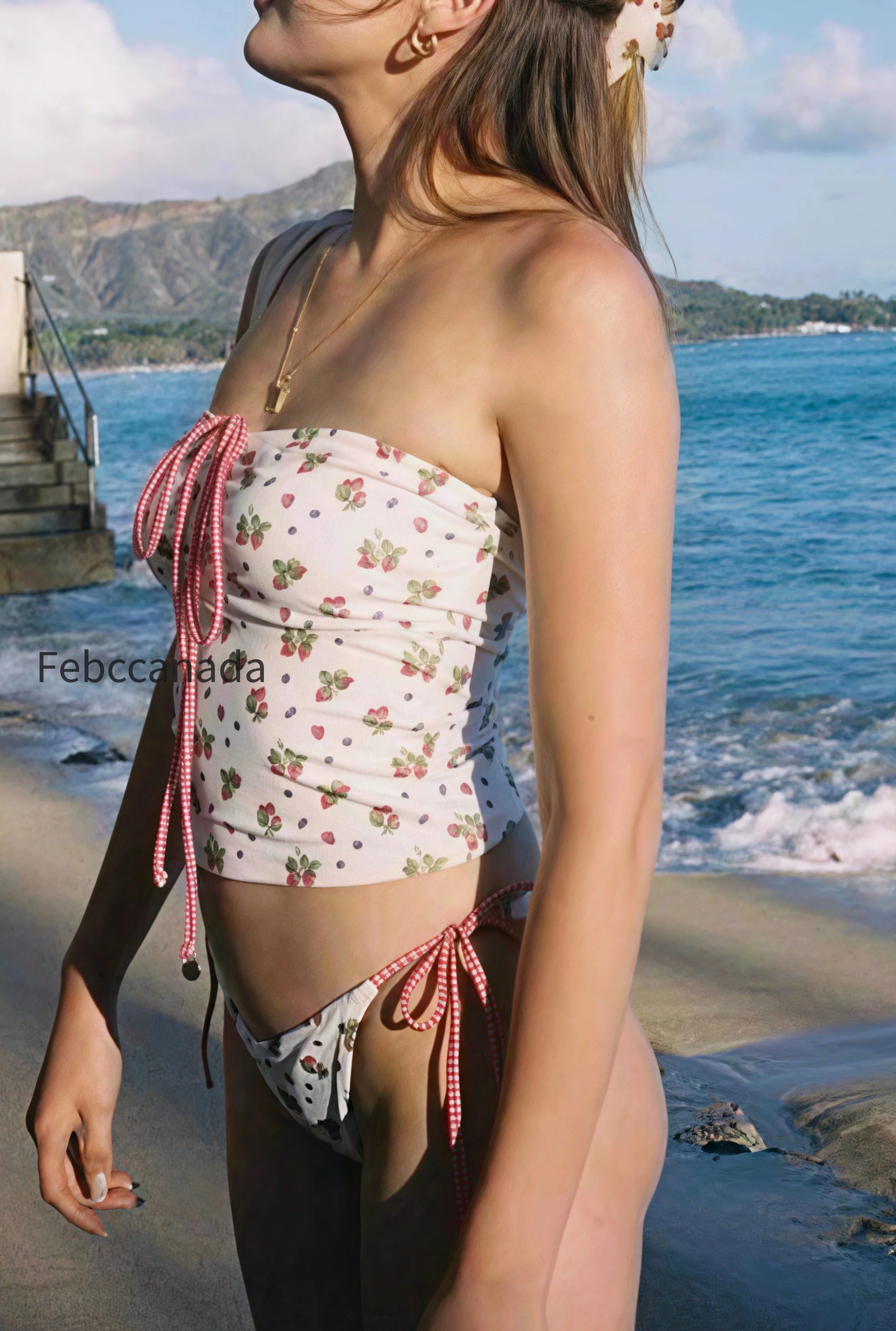 plaid-strawberry-two-piece-swim-set